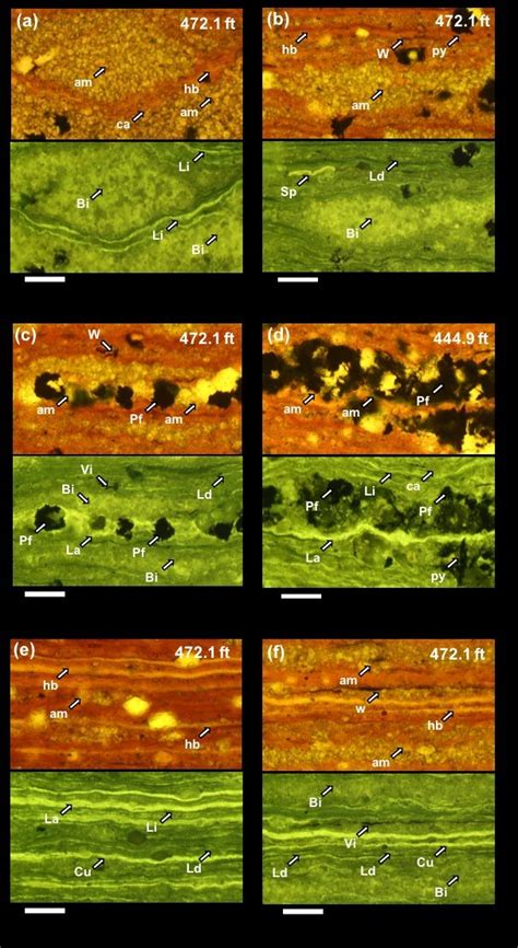 Photomicrographs From Skyline 16 Core Samples Under White Transmitted