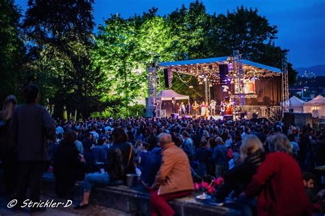 Gypsy Lyon Festival un grand événement festif et gratuit ce week end