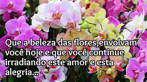 Mensagem Orquídeas Youtube