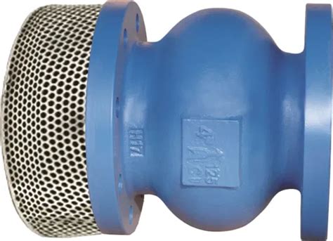 Cast Ductile Iron Body Flange End Foot Valve With Filter Strainer Screen Foot Valve And