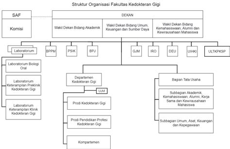 Struktur Organisasi Fakultas Kedokteran Gigi