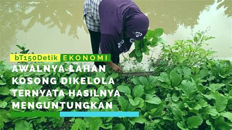 Kreatif Sulap Lahan Kosong Jadi Menguntungkan