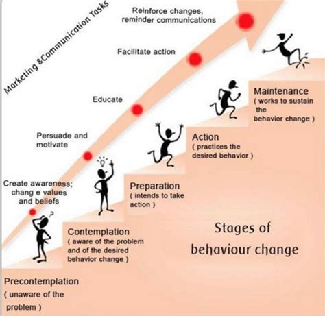 Cycle Social Stages