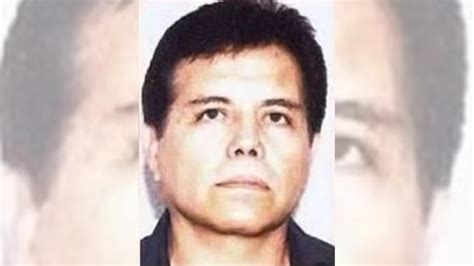 El Mayo Zambada Tiene Mala Salud Y El Mencho Sigue Supervisando El Cjng