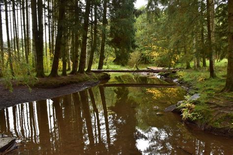 Op Stap In Het Hart Van De Ardennen Houffalize Wandelen Wandelroute