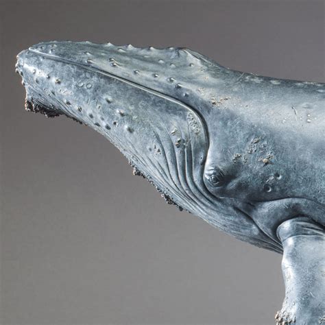 Humpback Whale By Nick Bibby 1 20th Scale Bronze Whale Sculpture