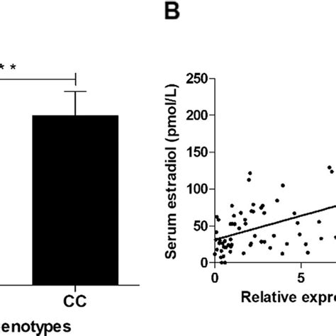 Relative Expression Of Estrogen Receptor Alpha MRNA Levels ESR1 Gene