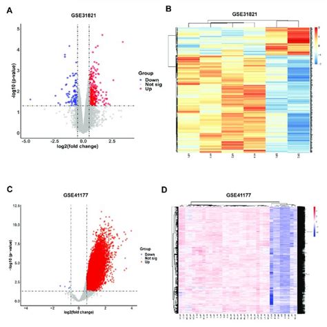 Identification Of Differentially Expressed Genes Degs From Gse31821 Download Scientific