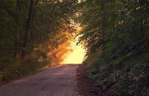 閲覧注意！？登山にまつわる怖い話8選。山での怪奇現象や心霊体験をまとめてご紹介 Kurashi No