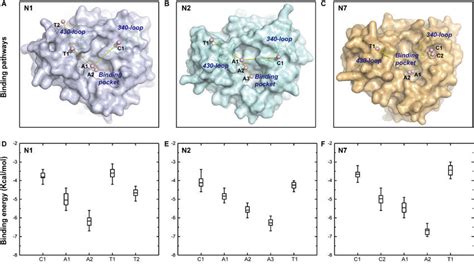 Binding Pathway Of Sialic Acid Sa And Distribution Of Binding Download Scientific Diagram