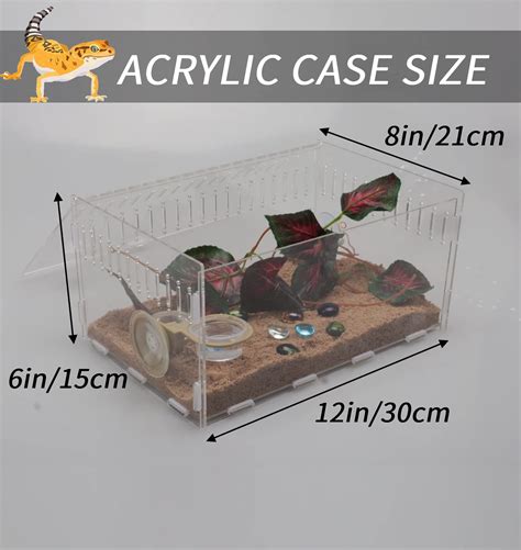 Buy Yzexi Magnetic Acrylic Reptile Cage X X Inch Breeding Box