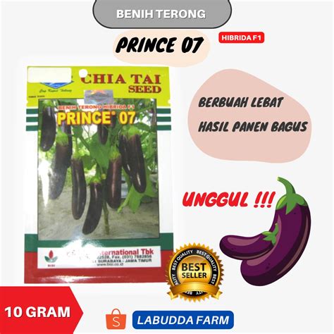 Jual Benih Terong Prince Bibit Terong Ungu Benih Terong Lalap