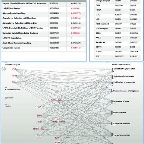 Ingenuity pathway analysis. (a) top 10 significantly altered pathways ... 