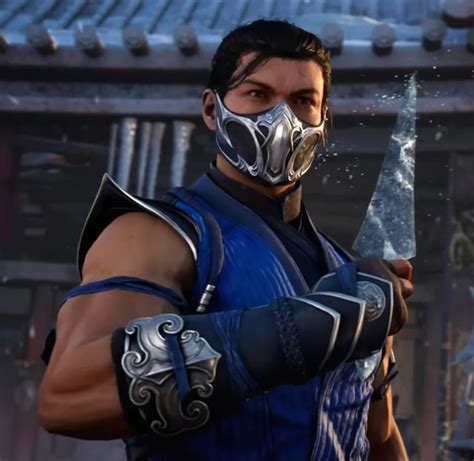 Bi Han Sub Zero Artofit