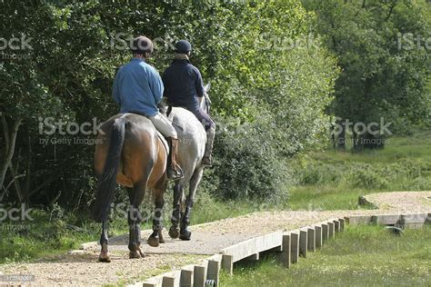 Horse Riding In The New Forest Stock Photo Download Image Now