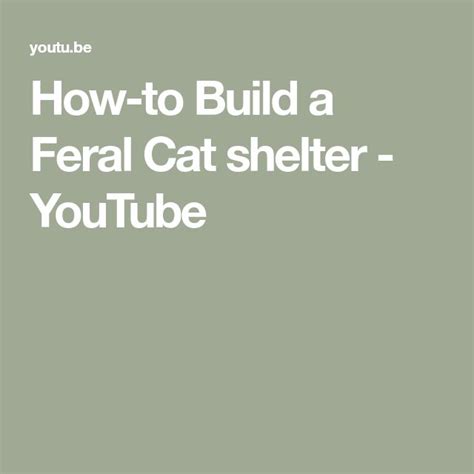 How To Build A Feral Cat Shelter Youtube Cat Shelter Feral Cat