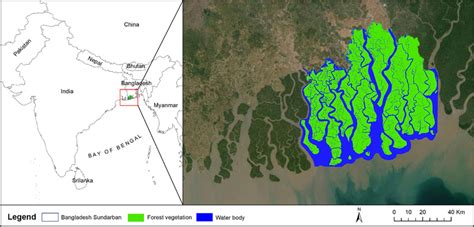 Sundarbans mangrove forest (study area) | Download Scientific Diagram