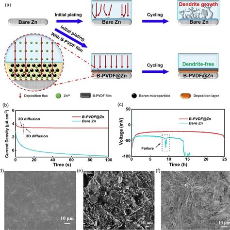 The Deposition Process Of Zn²⁺ A Schematic Illustration Of Zn Download Scientific Diagram