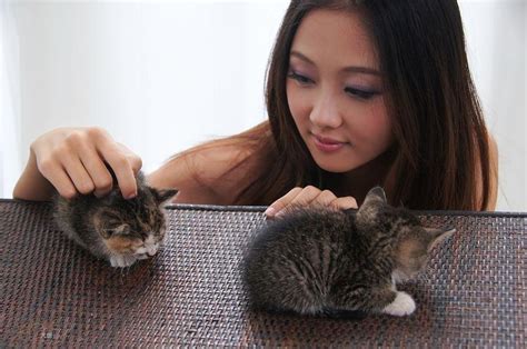 皇家猫粮怎么样看看我养猫的惨痛的教训吧