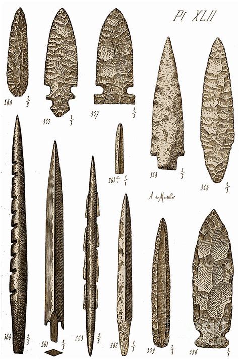 Neolithic Age Tools And Weapons