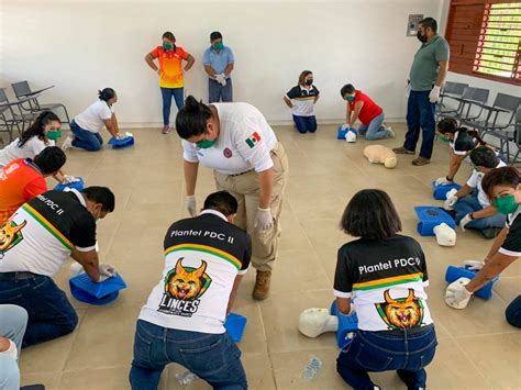 Aprende A Salvar Vidas Cursos De Primeros Auxilios En Solidaridad Revista Círculo Rojo México