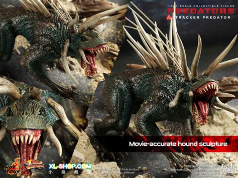 Hot Toys Hot Toys Mms Predators Th Scale Tracker Predator With Hound