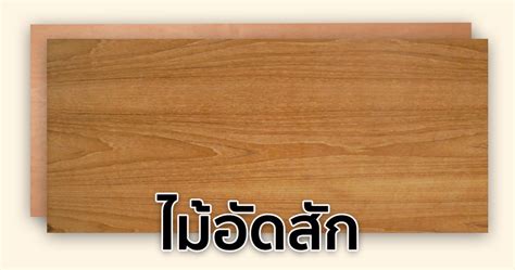 ไม้อัดสักheader01 Thaiplywood