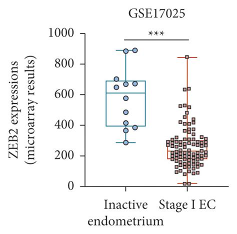 Downregulation Of Zeb2 And Association With Tumor Infiltration