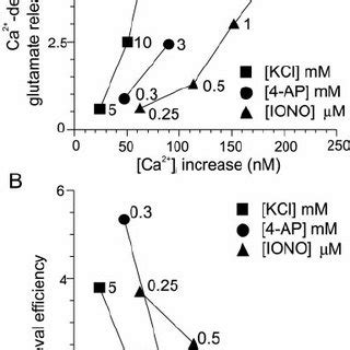 Vdcc Mediated Ca Influx Stimulates Exocytosis And Inhib Its