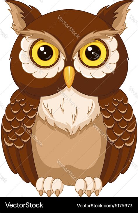 Owl Royalty Free Vector Image VectorStock