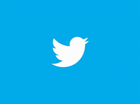 Twitter Bird Animation