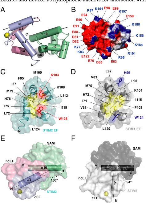 Stromal Interaction Molecules Semantic Scholar