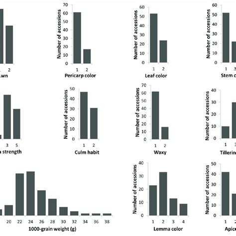 Phenotypic Variation Of The 11 Agro Morphological Traits In Vietnamese