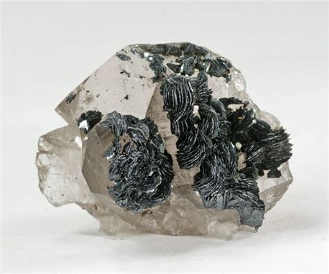 Hematite Iron Roses On Quartz Classic Locale St Gotthard Massif