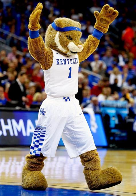 Final Four: Mascot history of Duke, Kentucky, Michigan State, Wisconsin ...