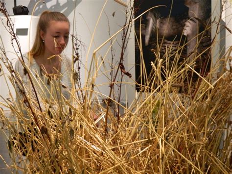 Als J Ger Und Sammler Sesshaft Wurden Erlebnisf Hrung Im Landesmuseum