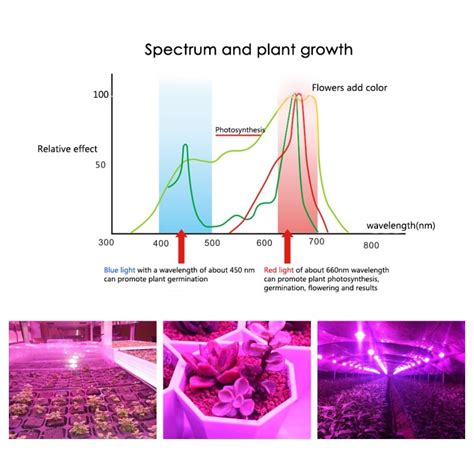 Luz LED de espectro completo para cultivo hidropón Grandado