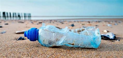 Cómo Reducir La Contaminación Por Botellas De Plástico