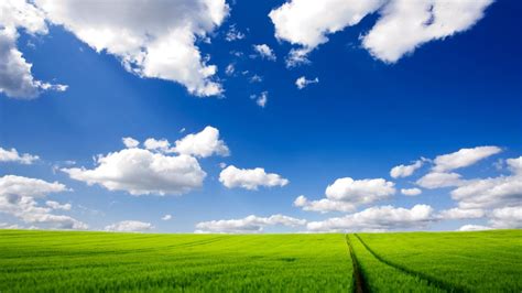 Sunlight Landscape Nature Grass Sky Field Clouds Green Horizon