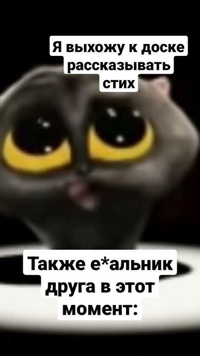 Мемас с тик тока #shorts #мем #мемы #скибиди #черныйкот #кот #стих # ...
