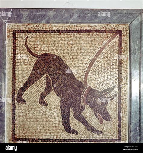 Pompeii dog mosaic hi-res stock photography and images - Alamy