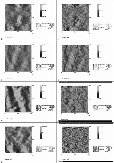 Tapping Mode Afm Topography Left And Phase Images Right For The