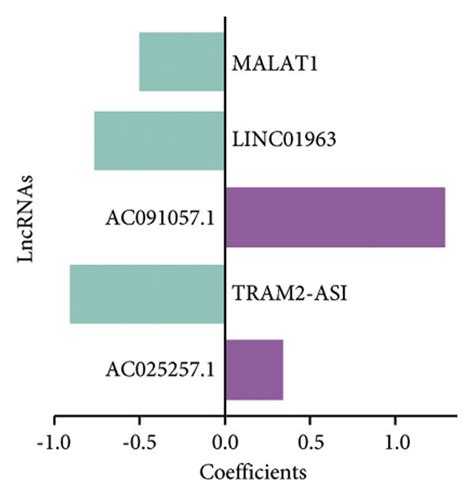 Identification Of Prognostic Cuproptosis Related Lncrnas By Lasso