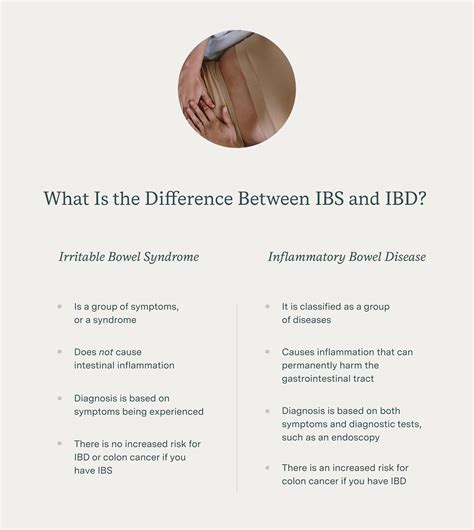 What Is The Difference Between IBS And IBD