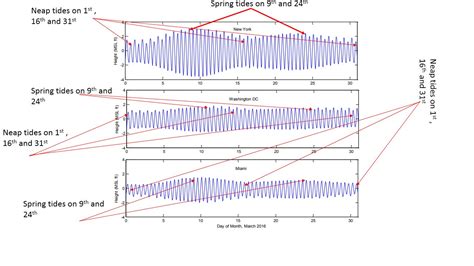 Solved Use Figure To Analyze The Tidal Patterns For March At