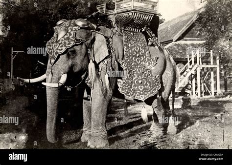 Elefant Und Howdah Fotos Und Bildmaterial In Hoher Aufl Sung Alamy