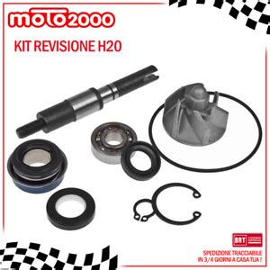 Kit Revisione Pompa Acqua Tpr Per Honda Dylan Sh Pantheon Silver Wing