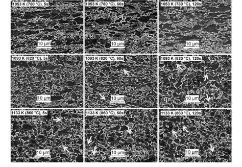 Sem Micrographs Showing The Effect Of Annealing Temperature And Holding