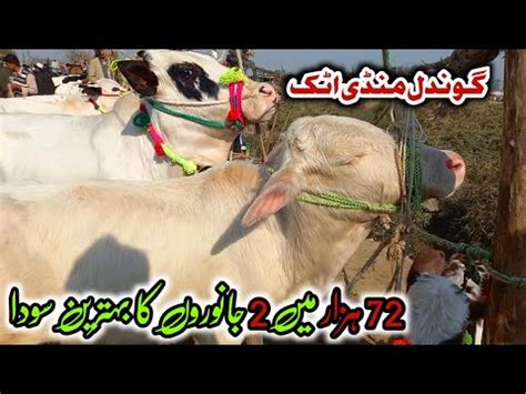 K Ma Soda Gondal Mandi Attock Update December Youtube