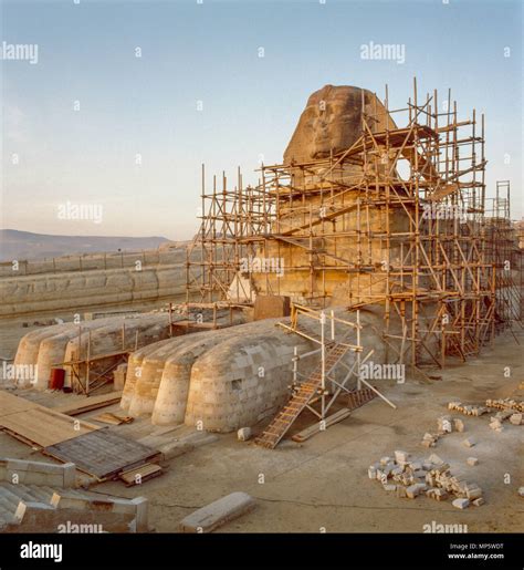 The great Sphinx of the Giza Pyramids complex undergoing restoration in the late 1980s Stock ...